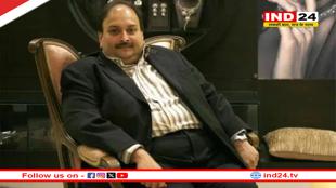 PNB घोटाले का आरोपी भगोड़ा कारोबारी मेहुल चोकसी बेल्जियम में गिरफ्तार