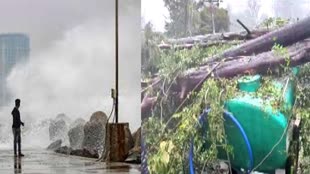 तमिलनाडु में मैंडूस तूफान से मची तबाही, कई जगह उखड़े पेड़