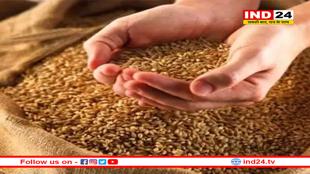 MP में गेहूं की कीमत पर सीएम का बड़ा ऐलान, किसानों को सरकार की सौगात