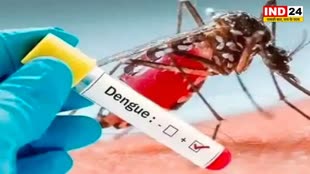 बरसात शुरू होते ही बढ़ा डेंगू, मलेरिया का खतरा, रखें ये सावधानियां