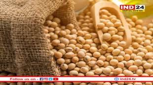 कंपनियों के नाम पर बाजार में बेचा जा रहा अप्रमाणित बीज, दाम भी मनमाने, नहीं की जा रही जांच