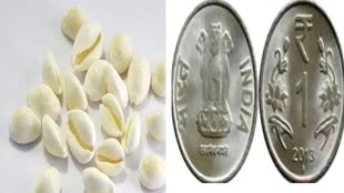 Diwali 2023: दिवाली की सफाई में मिल जाएं ये चीजें, तो समझ लें लक्ष्मी जी होंगी मेहरबान