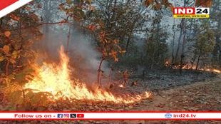 वनाग्नि को लेकर वन विभाग अलर्ट, सरपंचों के साथ हुई बैठक में बनी रणनीति