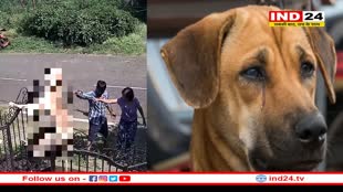 भाषाएं, भावनाओं का दर्पण।