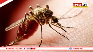 Rajasthan Dengue Case: राजस्थान में डेंगू का कहर, 12 हजार के पार पहुंची मरीजों की संख्या, स्वास्थ्य विभाग में मचा हड़कंप