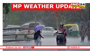 MP Weather Update: मध्य प्रदेश में बारिश और तेज हवाओं का दौर जारी, फसलों का हो रहा नुकसान