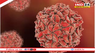 WPV1 In Pakistan: सिंध और बलूचिस्तान के 3 जिलों के सीवेज नमूनों में पाया गया पोलियोवायरस, पाकिस्तान चला रहा पोलिया टीकाकरण अभियान 