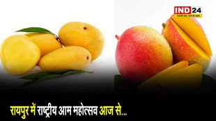 Raipur में राष्ट्रीय आम महोत्सव आज से... 