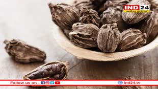 बड़े काम की है बड़ी इलायची, इन बीमारियों और इन्फेक्शन से रखती है दूर