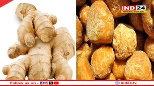 Winter Food: सर्दियों में इन चीजों का जरुर करें सेवन, शरीर रहेगा गर्म