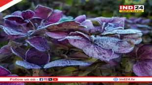 Rajasthan Weather Update: राजस्थान में फिर लौटी सर्दी, बर्फिली हवा ने बढ़ाई ठंडक, एक दिन में 10 डिग्री गिरा न्यूनतम तापमान
