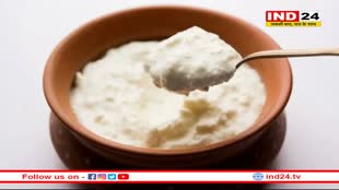 लंच या डिनर किस वक्त खाना चाहिए दही?