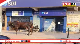Rajasthan News: जयपुर में चोरी का हैरान करने वाला मामला, बैंक लूटने के लिए बदमाशों ने बनाई 350 फीट की सुरंग,10वीं फेल ने आर्मी की तरह बनाया नक्शा