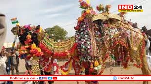 15 फरवरी से शुरू हो रहा है नागौर पशु मेला, वीकेंड में यहां घूमने का बना सकते हैं प्लान