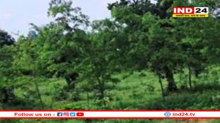 अरुणाचल प्रदेश ने मध्य प्रदेश से मांगी जमीन, क्या है वजह?