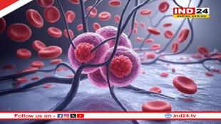 भारत ने किया कमाल: कैंसर मरीजों के लिए उम्मीद की किरण,अब AI बताएगा ट्यूमर के अंदर का सच