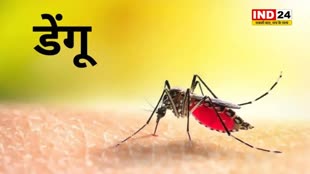 मध्य प्रदेश में डेंगू का आतंक, इंदौर में मरीजों का आंकड़ा पहुंचा 100 के पार