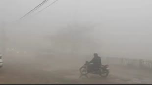 Rajasthan Weather Update: प्रदेश भर में कहीं कोहरा तो कहीं शीतलहर का प्रकोप, माउंट आबू में फिर माइनस में पहुंचा पारा 