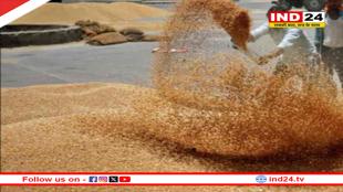 मध्यप्रदेश सरकार का किसानों को बड़ा तोहफ़ा, 2600 रुपये क्विंटल MSP पर होगी गेहूं खरीदी, मुख्यमंत्री डॉ. मोहन यादव ने किया ऐलान