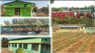 CG NEWS :  गोड़बहाल गौठान बना मॉडल, आवर्ती चराई योजना से आर्थिक समृद्धि की राह हुई प्रशस्त