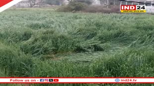Rajasthan Weather Update: प्रदेश में बदल रहा मौसम का मिजाज, माउंट आबू में फिर से पारा माइनस में, कई जिलों में बारिश की संभावना 