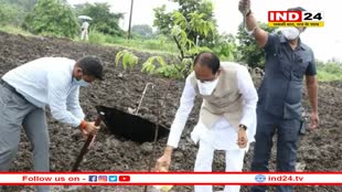 प्रकृति प्रेमी भी हैं लाडली बहनों के लाडले भैया शिवराज: पौधे को पेड़ बनते हुए देखा तो भावुक हुए