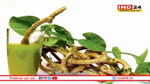 बरसात में गिलोय है बेहद लाभकारी