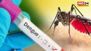 Dengue MP:डेंगू के डंक से ग्वालियर वासी बेहाल,लगातार बढ़ रहे मामले