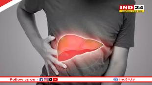 फैटी लिवर से पाना चाहते हैं छुटकारा? ये जड़ी-बूटियां कर सकती है असर 