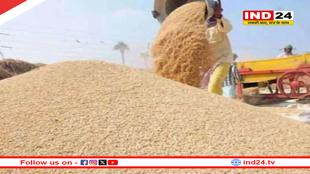 किसानों के लिए जरूरी खबर,गेहूं उपार्जन के लिये 31 मार्च तक पंजीयन, मई तक चलेगी खरीदी