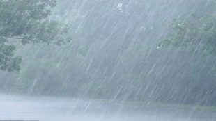 MP Weather: होली पर मौसम होगा मेहरबान, प्रदेशभर में बादल छाने के आसार