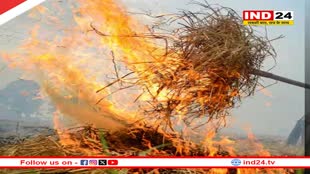 अब पराली जलाई तो खैर नहीं! भारत सरकार ने बढ़ते प्रदूषण को रोकने के लिए बढ़ाया जुर्माना