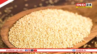 पोषक तत्वों का भंडार है खसखस, जानें इसके गजब के फायदे