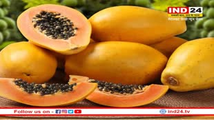 Papaya Benefit : पपीता के इस्तेमाल से अपने स्किन और बालों को बनाएं खुबसूरत, जानें इसके फायदे