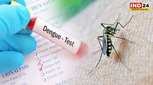 बरसात में कहीं डेंगू की चपेट में ना आ जाए आप, इन बातों की रखें सावधानी