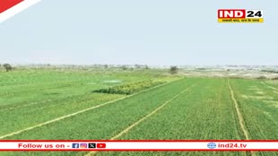 Rajasthan News: राजस्थान में बारिश से प्रदेश के किसानों के खिले चेहरे, फसल की सिंचाई के लिए बचे लाखों रुपये