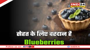 खूबसूरती न‍िखारने से लेकर वेट लॉस तक, सेहत को कई तरह से फायदा पहुंचाता है Blueberries