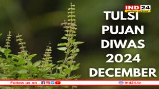 तुलसी पूजन दिवस, पूरी होंगी सभी मनोकामनाएं 