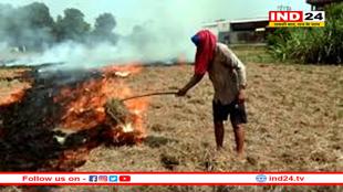 पराली जलाई तो नहीं मिलेगा सीएम किसान कल्याण योजना का लाभ- CM ने दिए कड़े निर्देश
