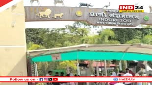 खुशखबरी... ऑनलाइन बुक कर सकेंगे इंदौर जू का टिकट, लंबी लाइन से मिलेगी राहत