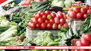 15 दिन बाद धड़ाम से गिरे टमाटर के भाव, अब इतनी हुई कीमत, लेकिन दूसरी सब्जियों ने बिगाड़ा जायका