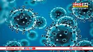 Covid 19: चीन के सीफूड मार्केट में बिकने वाले रेकून कुत्ते से फैला कोरोना, शोधकर्ताओं ने किया दावा