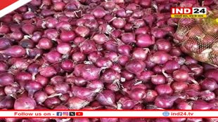  प्याज की कीमतों में आएगी गिरावट! सरकार खरीदेगी 5 लाख टन प्याज