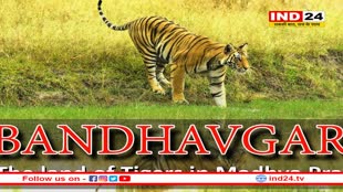 बांधवगढ़ नेशनल पार्क के कोर जोन के गेट बंद, अब तीन माह बाद ही पर्यटकों को मिलेगा प्रवेश