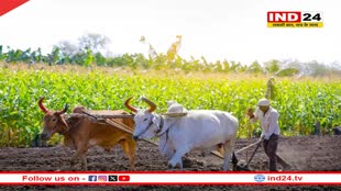 23 दिसंबर को क्यों मनाया जाता है राष्ट्रीय किसान दिवस, जानें इतिहास