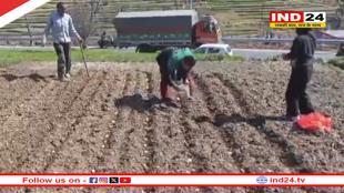 बारिश न होने से सूखने के कगार में खेती, किसानों ने सरकार से की कृषि ऋण माफ करने की मांग