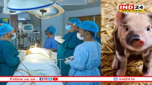 अमेरिकी डॉक्टरों का अनोखा कारनामा, पहली बार इंसान में किया सुअर की किडनी का सफल ट्रांसप्लांट