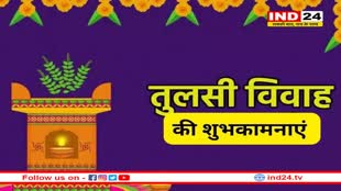 घर में तुलसी विवाह करने के विशेष नियम