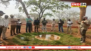 मंदसौर में चीतों को बसाने की कवायद तेज, केन्या से गांधीसागर अभयारण्य पहुंचा छह सदस्यीय दल