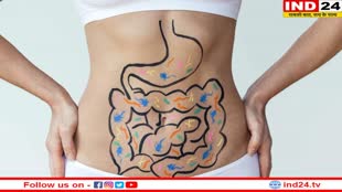 Digestion Improving Tips: पाचन को बनाना चाहते हैं दुरुस्त, तो जानिए ये 3 आसान तरीके